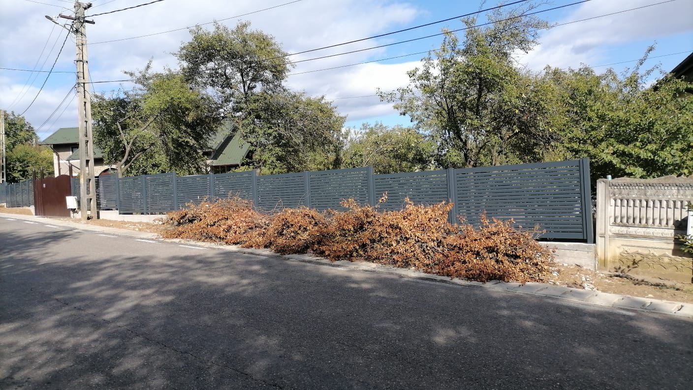 WhatsApp Image 2025-10-19 at 12.33.03 (8)