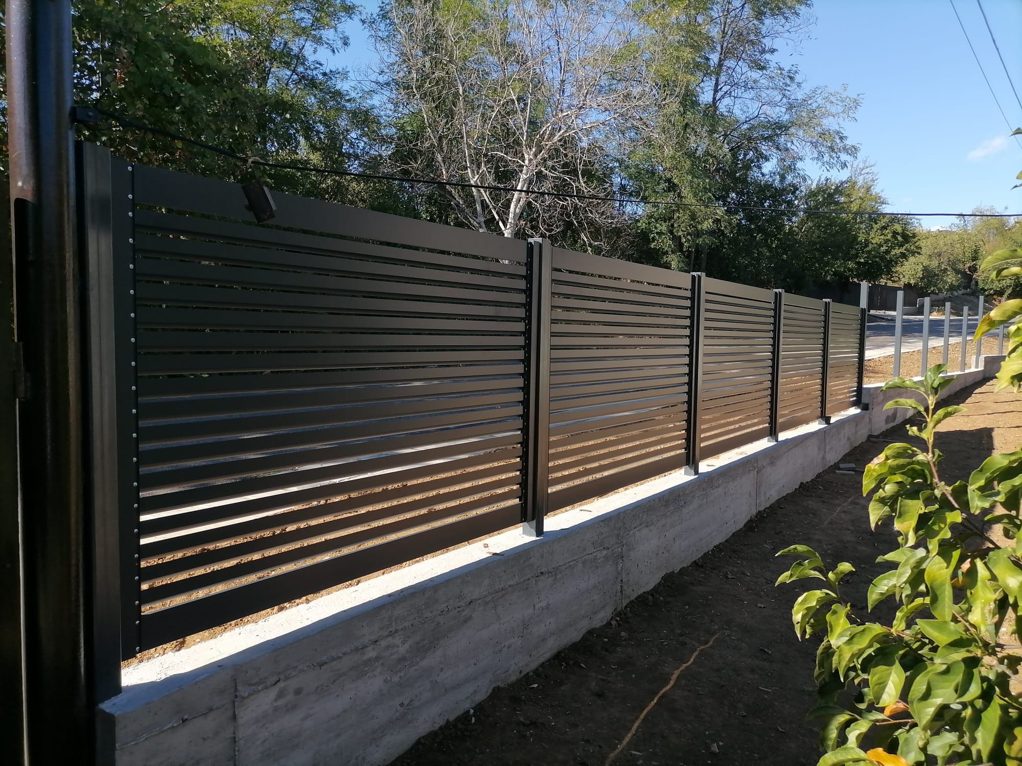 WhatsApp Image 2025-10-19 at 12.33.03